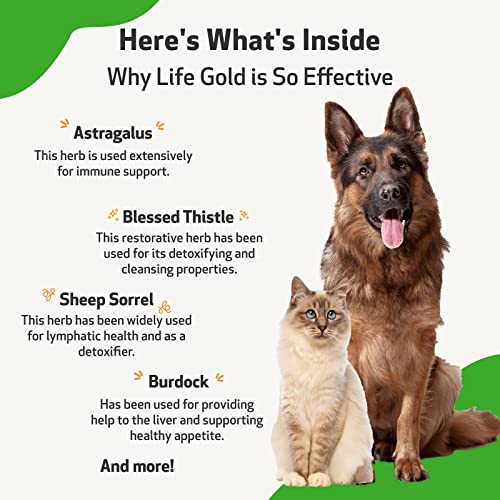 Pet Wellbeing Life Gold for Dogs and Cats - Vet-Formulated - Immune Support and Antioxidant Protection - Natural Herbal Supplement 4 oz (118 ml) - Image 4