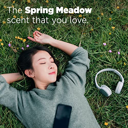 Tide PODS Liquid Laundry Detergent Soap Pacs HE Compatible 76 Count Powerful 3-in-1 Clean in one Step Spring Meadow Scent - Image 4